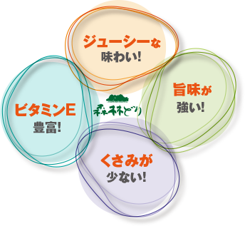 ジューシーな味わい／旨味が強い／くさみが少ない／ビタミンE豊富